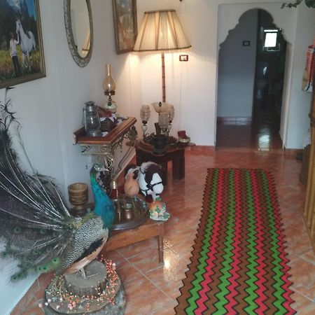 Karafil Guesthouse Gjirokastër Eksteriør billede